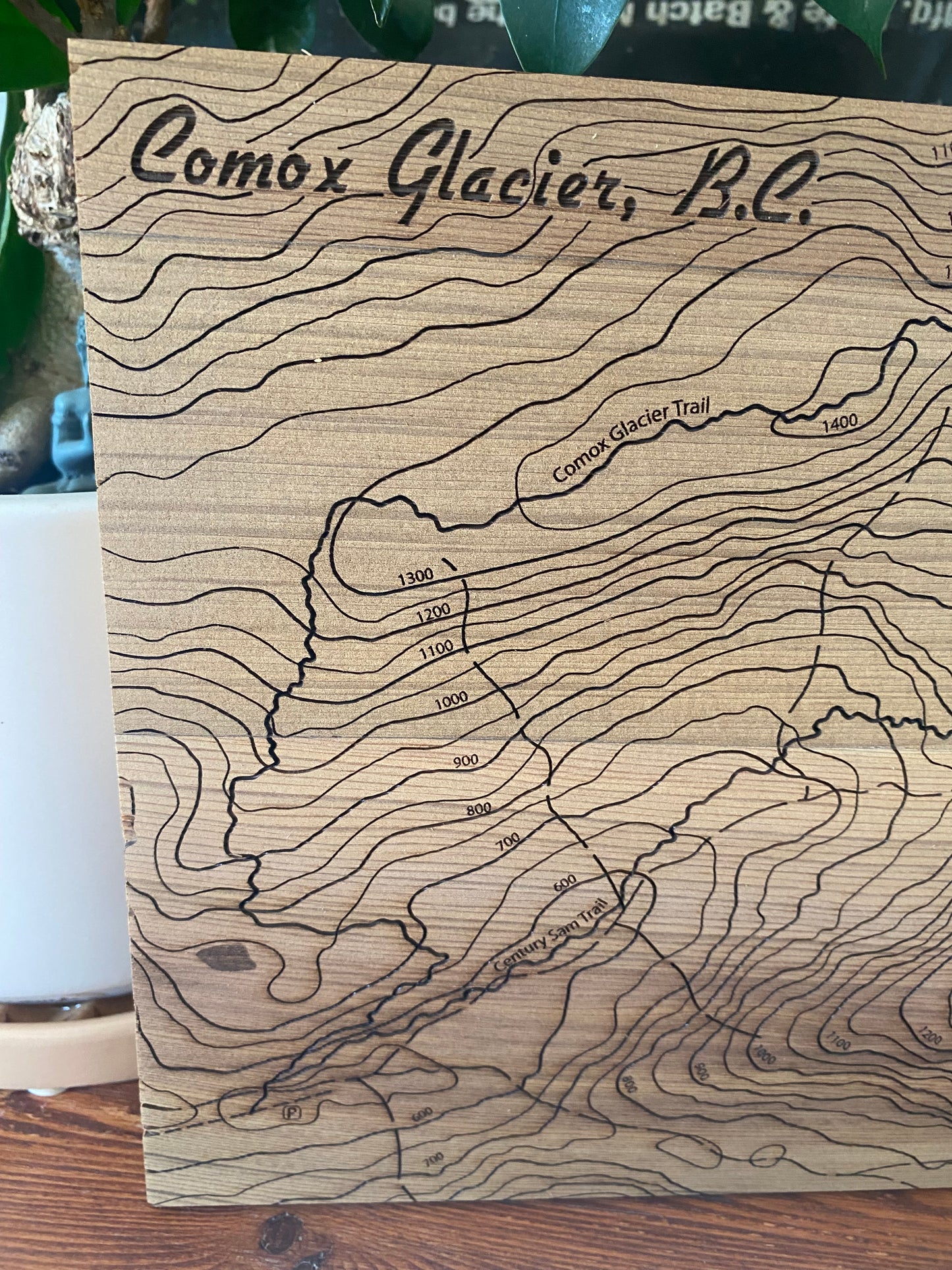 Cedar map of Comox Glacier, B.C. with laser-etched topographic lines.