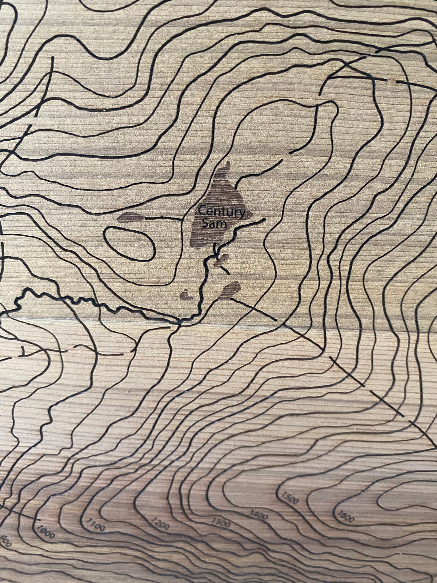 Topographic map with contour lines on a textured surface