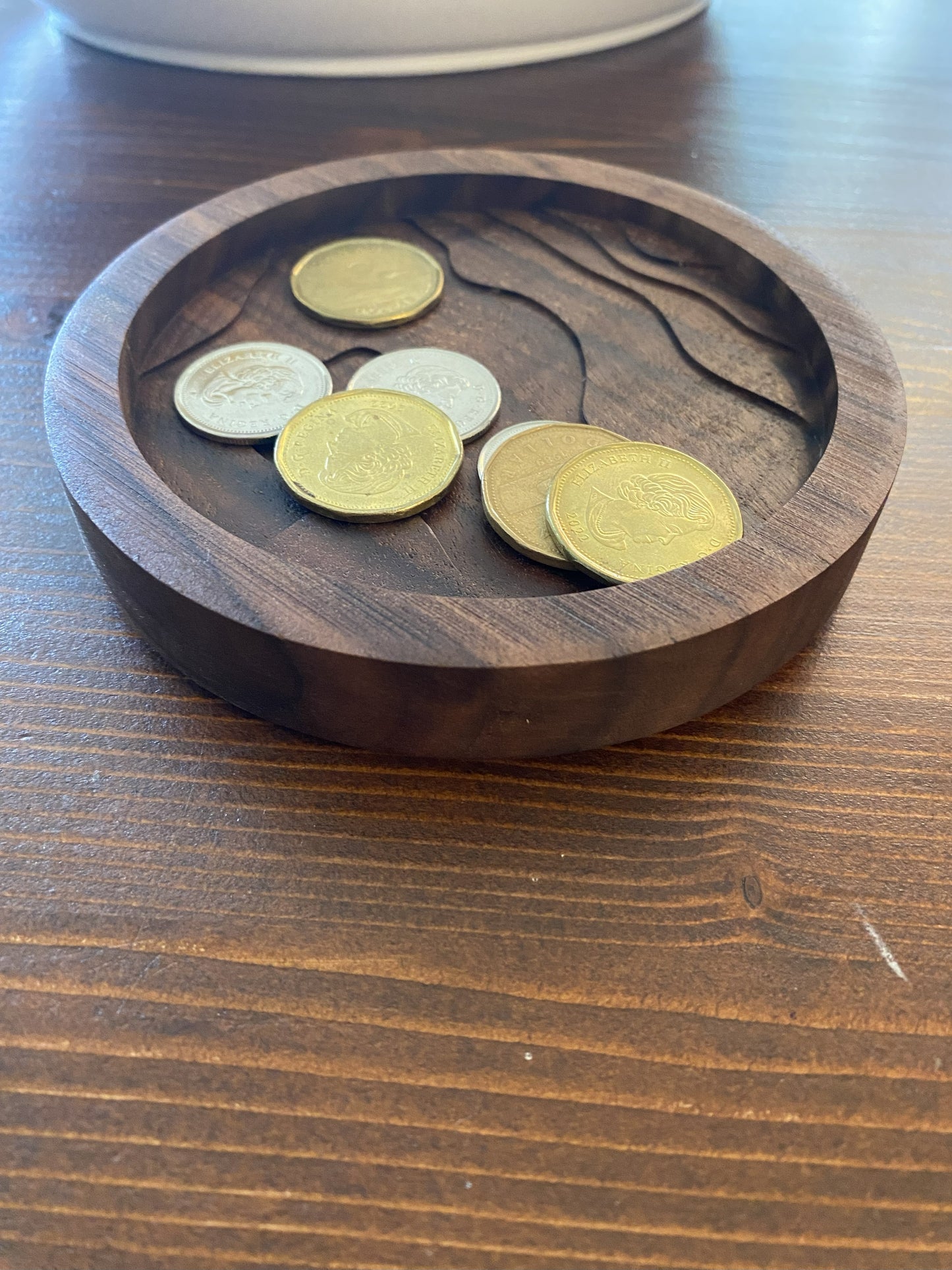 Circular coin tray with topographic details with coins
