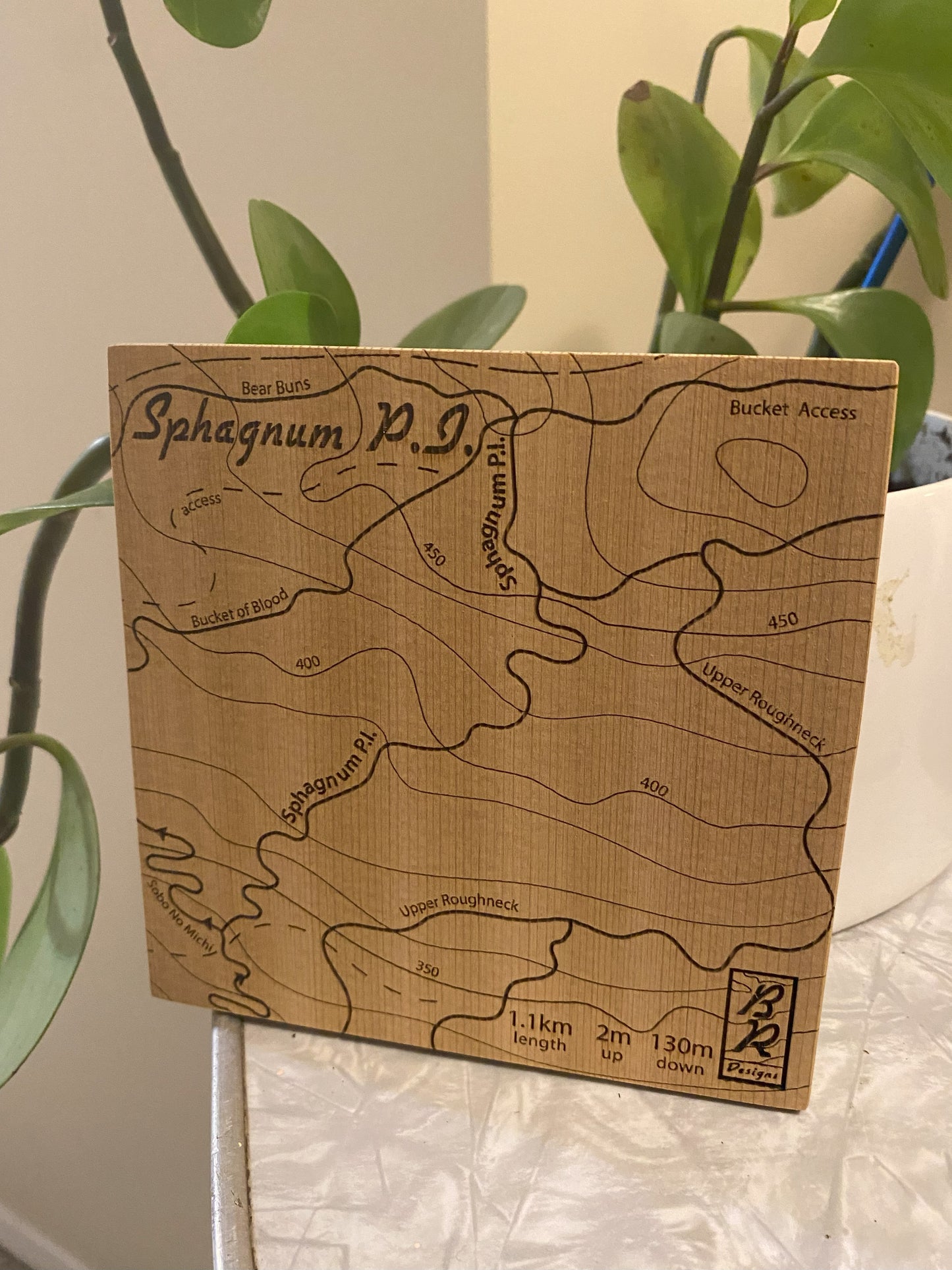 A wooden trail map of Sphagnum P.I. in Cumberland B.C. with an engraved design showcasing a topographic outline.