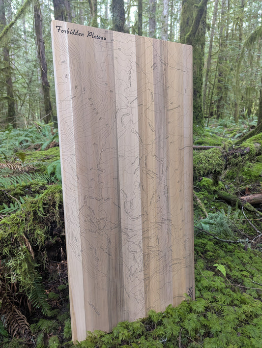A vertical wooden map of the Forbidden Plateau mountain bike trails displayed in a natural outdoor setting with moss and trees.