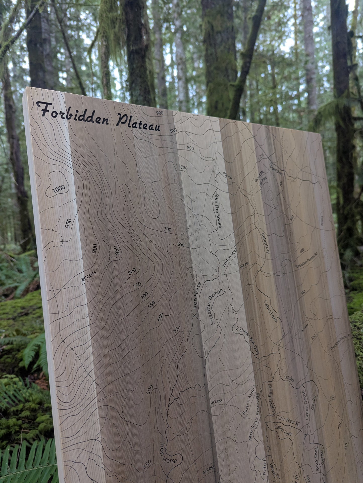 Forbidden Mountain Bike Trail Maps