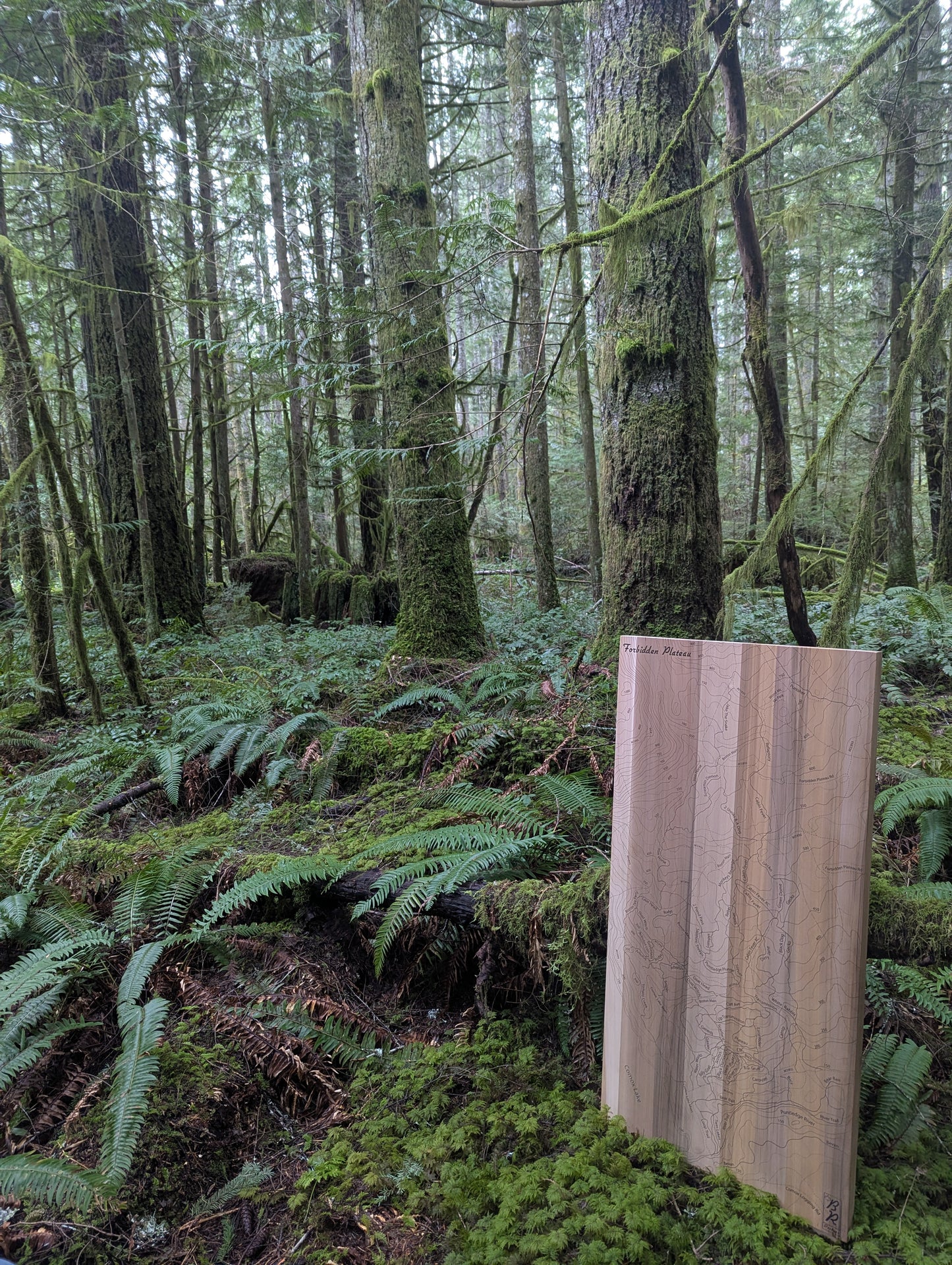 Forbidden Mountain Bike Trail Maps