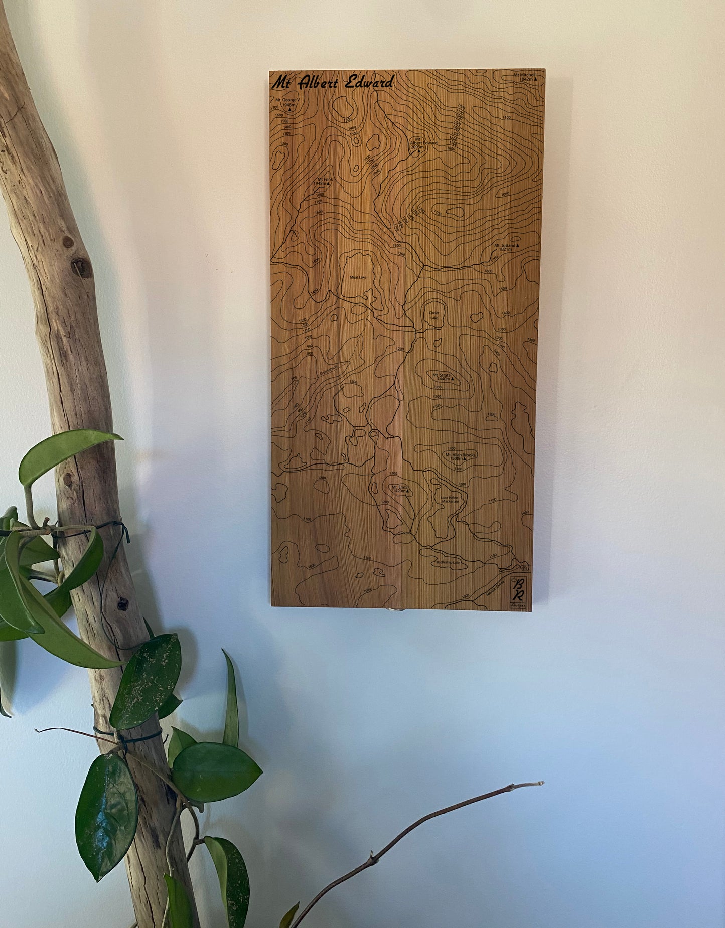 Wooden map of Mount Albert Edward on a white wall with a plant in the foreground.