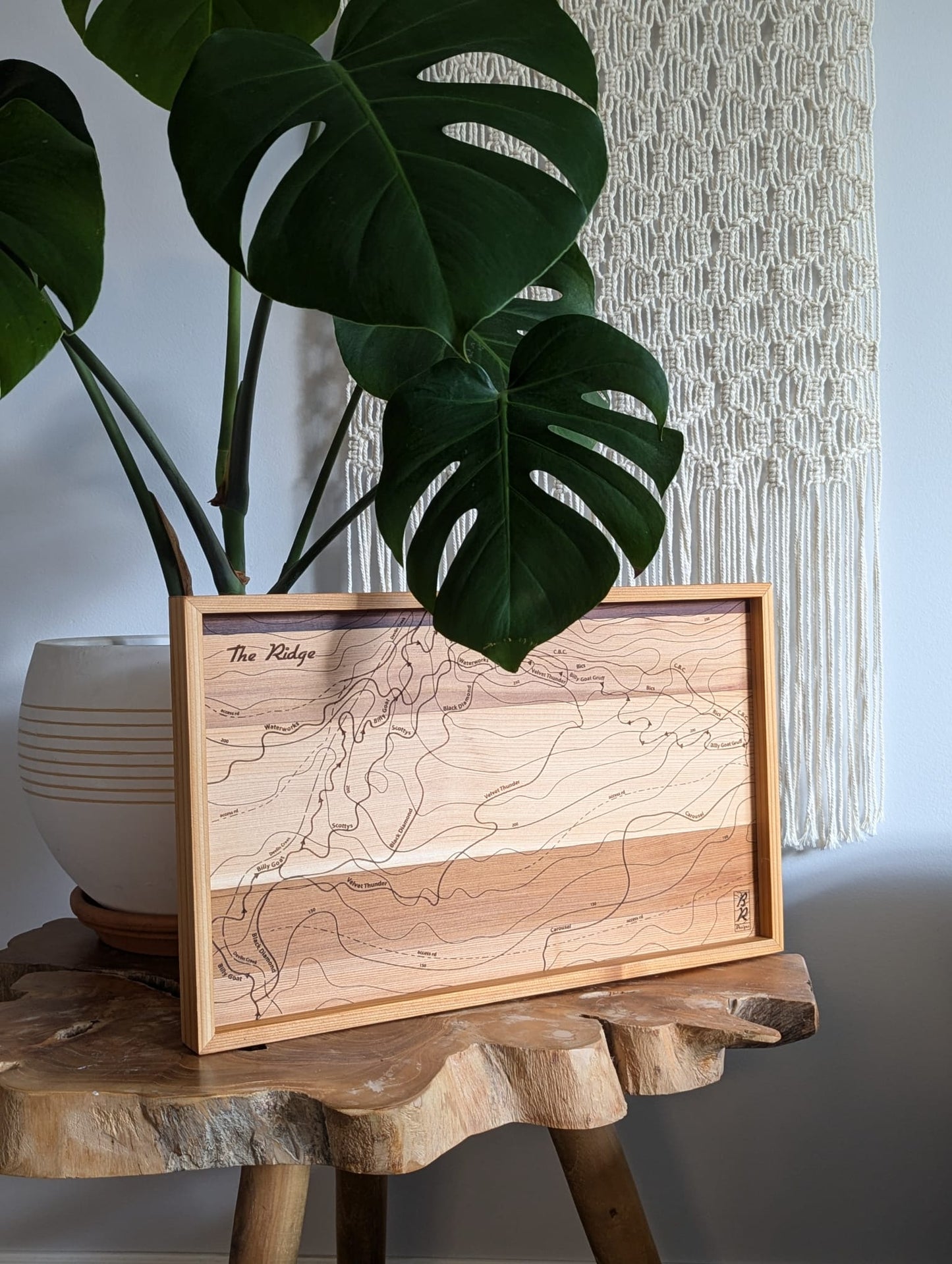 A wooden trail map of The Ridge on Forbidden Plateau with an engraved design showcasing a topographic outline, displayed in a frame on a live edge table with a plant in the background.