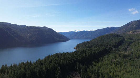 Aerial view of Comox Lake Looking South west 