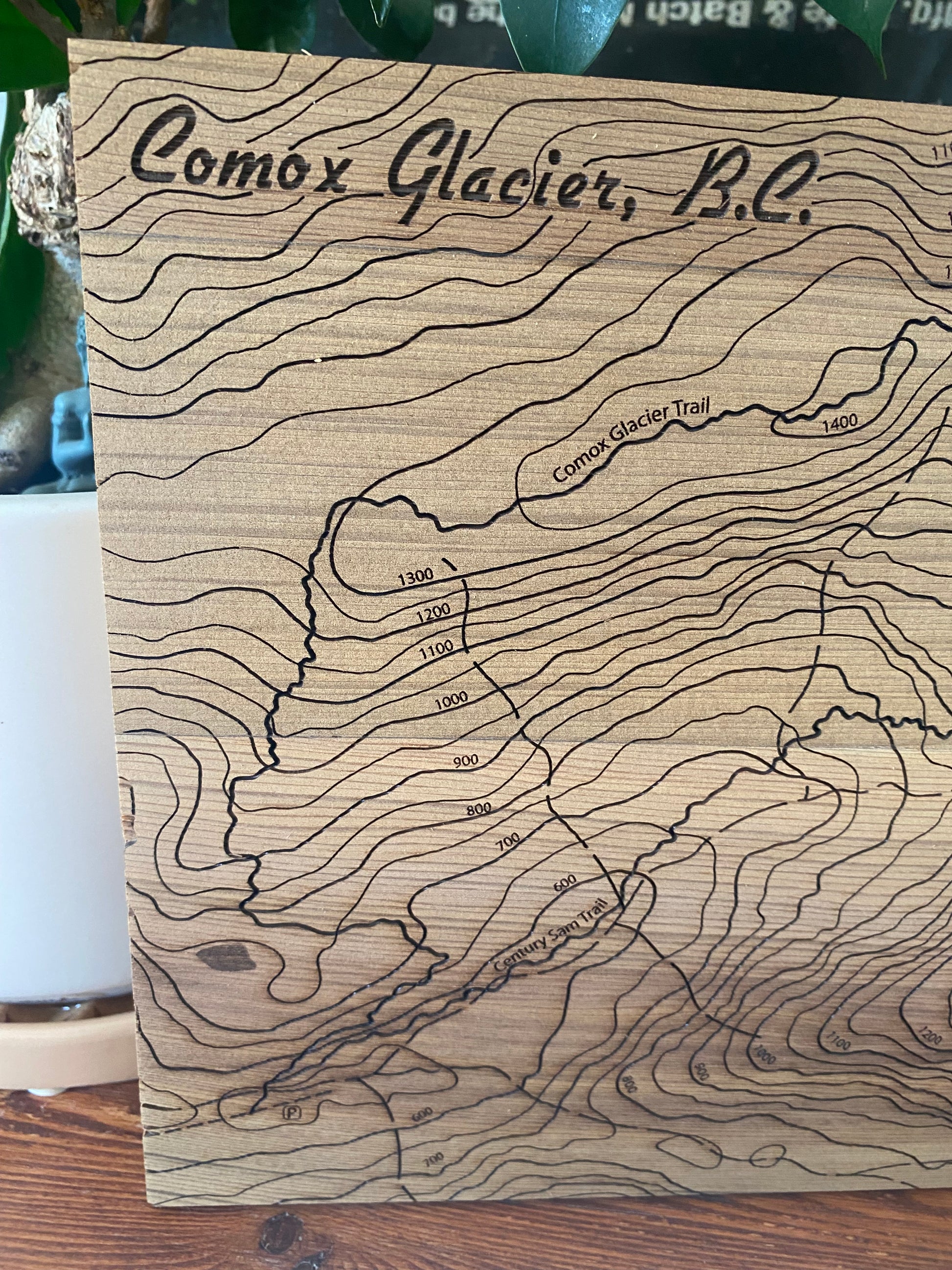 Cedar map of Comox Glacier, B.C. with laser-etched topographic lines.