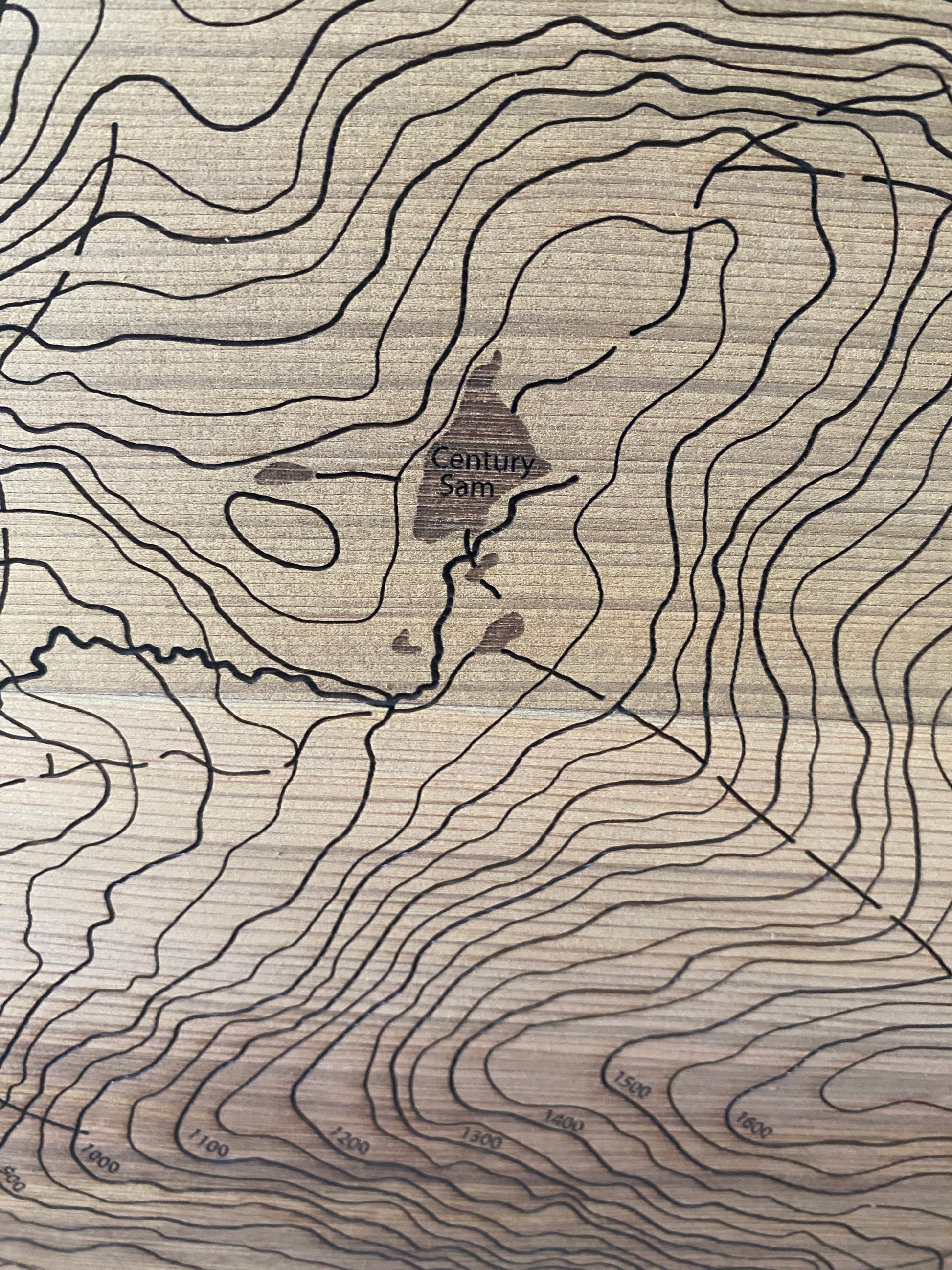 Topographic map with contour lines on a textured surface