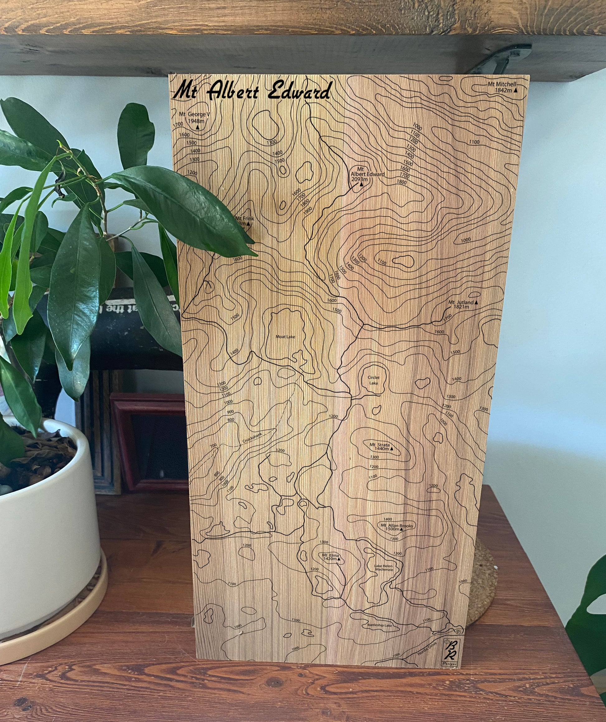 Cedar board with topographic design of Mt. Albert Edward with a plant in the background